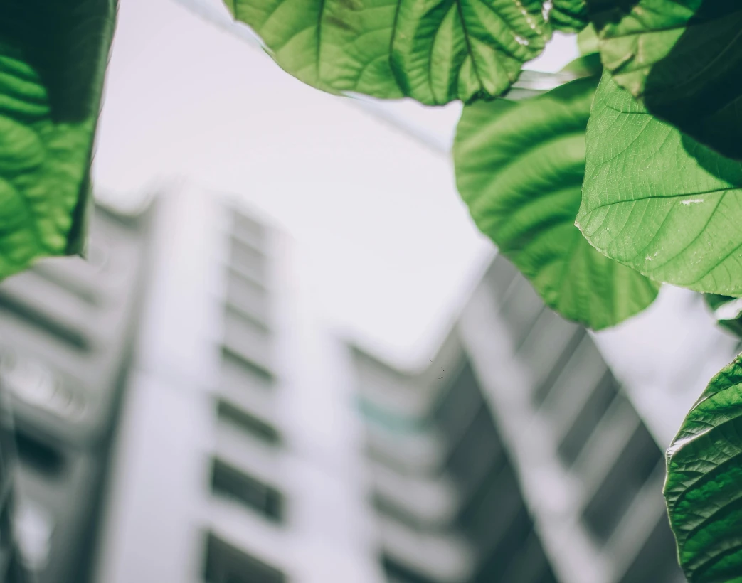 Bureau Detude Ludwig Dpe Mulhouse Decret Tertiaire Bureau Detude Ludwig Dpe Mulhouse Decret Tertiaire